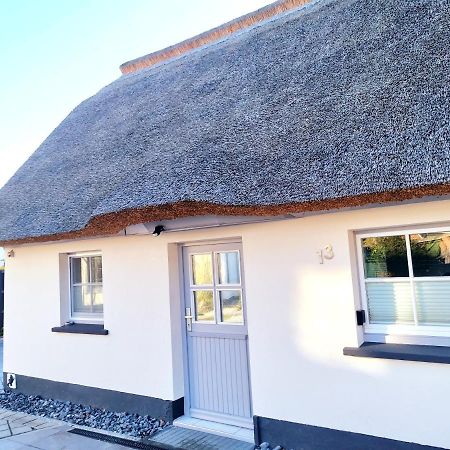 Haus Findling Villa Zingst Exterior photo